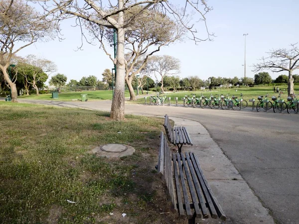 Yeşil Menachem Manzarası Başla Darom Park Tel Aviv Srail — Stok fotoğraf