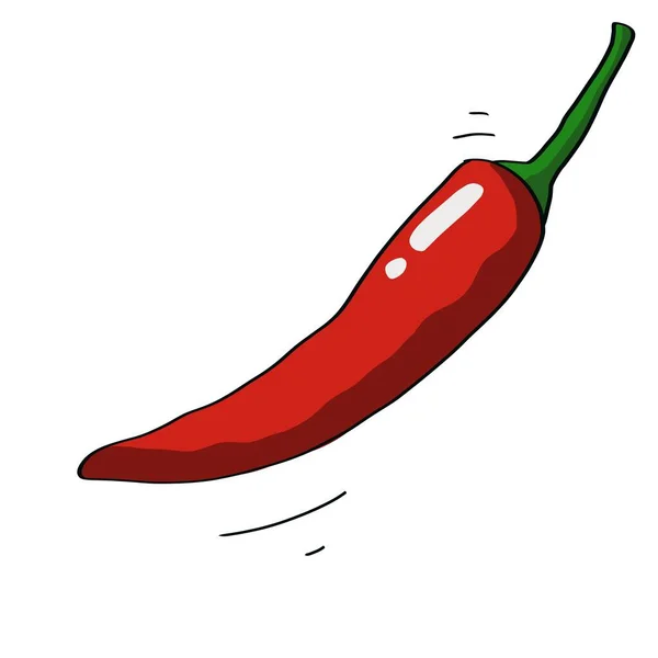 Chilli  in simple drawing isolated on white. Vegetable.