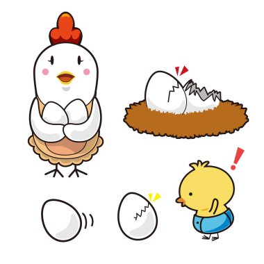 Tavuk ve bebek tavuk.