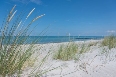 Beach idyll in summer, baltic sea Germany