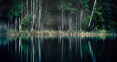 Magical: lonely forest lake
