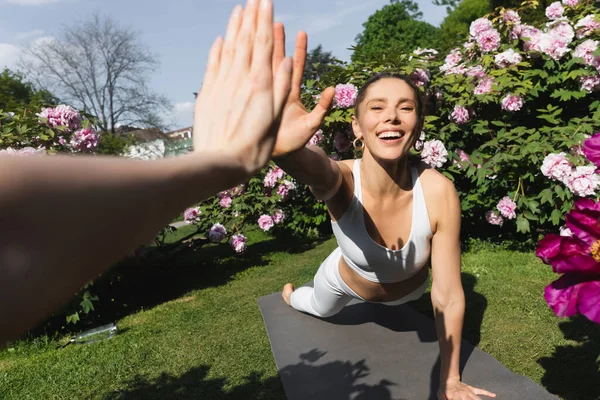Cheerful Woman Giving High Five Friend While Practicing Plank Pose — стоковое фото