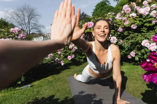 Cheerful woman giving high five to friend while practicing plank pose in park — Stock Photo