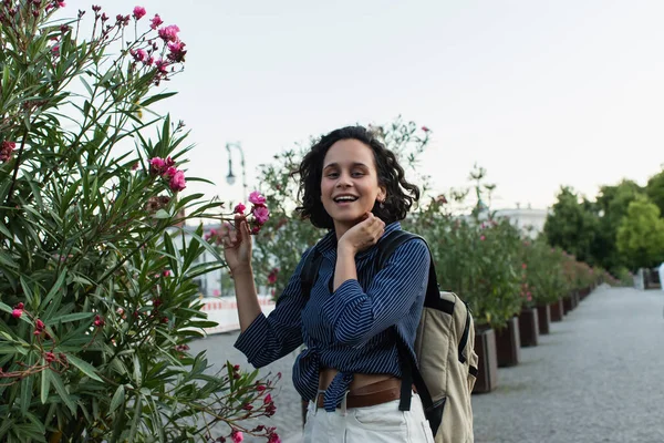 Pleased young woman with backpack touching flower on green bush in berlin - foto de stock