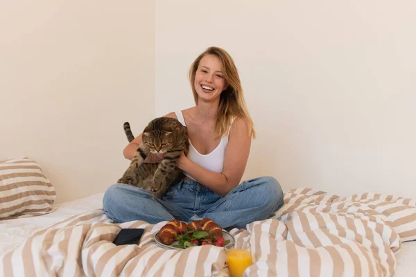 Улыбающаяся женщина держит шотландского складного кота рядом со смартфоном и завтраком дома — стоковое фото