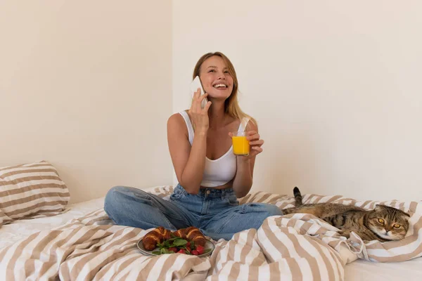 Giovane donna che parla al cellulare vicino scozzese piega gatto e prima colazione con croissant sul letto — Foto stock