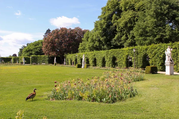 Parque Verão Verde Com Canteiro Flores Pato — Fotografia de Stock