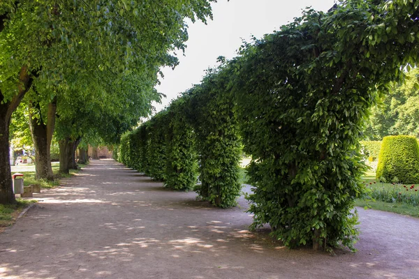 Gebogen Steegje Het Groene Park — Stockfoto