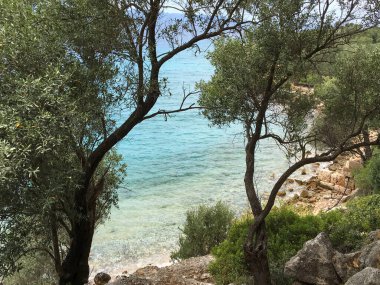 Küçük bir körfez manzaralı ağaçların gölgesinde dinleniyor.