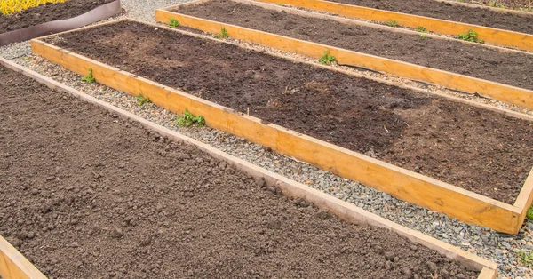 Camas Verduras Recién Construidas Camas Vacías Con Tierra Preparada Jardín —  Fotos de Stock