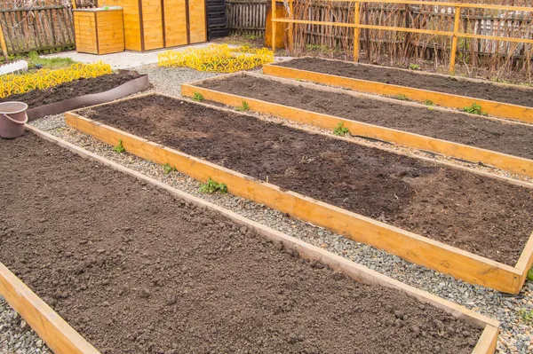 Camas Verduras Recién Construidas Camas Vacías Con Tierra Preparada Jardín — Foto de Stock