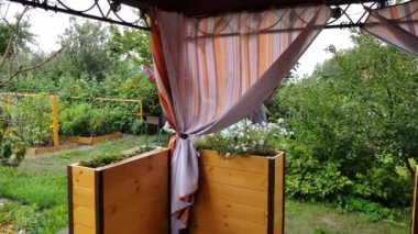 4k video, güzel ahşap kutulardaki çiçekler arka plandaki bitkiler güçlü bir rüzgarda, açık havada sallanıyorlar.