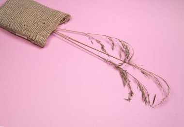 Kuru dikenler ve keten bir çanta pembe arka planda, şık bir ev dekorasyonu için soyut kuru otlar. Yakın çekim, düz daire, üst görünüm, kopyalama alanı.