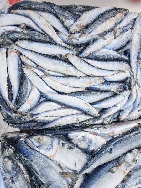 Background of raw frozen herring fish at the fish market.
