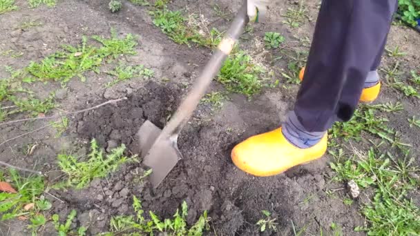 Vídeo Trabalhador Sapatos Borracha Amarela Uma Jaqueta Vermelha Cava Chão — Vídeo de Stock