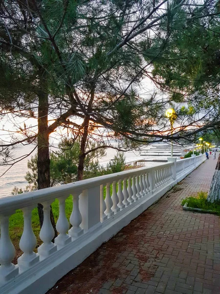 Sommarsolnedgång Tallkvistar Vit Balustrad Längs Strandvallen — Stockfoto