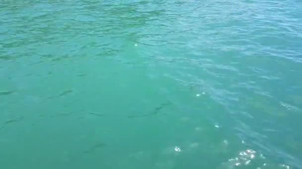 Video Primer Plano Las Olas Azules Tranquila Superficie Del Agua — Vídeo de stock