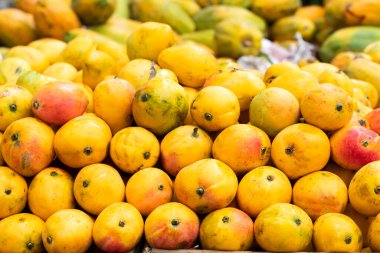 Mangifera indica - fruta de mango