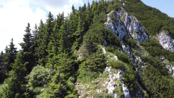 Wznieść Się Ponad Szczyt Przełęczy Widok Pasmo Górskie Góry Dzikie — Wideo stockowe