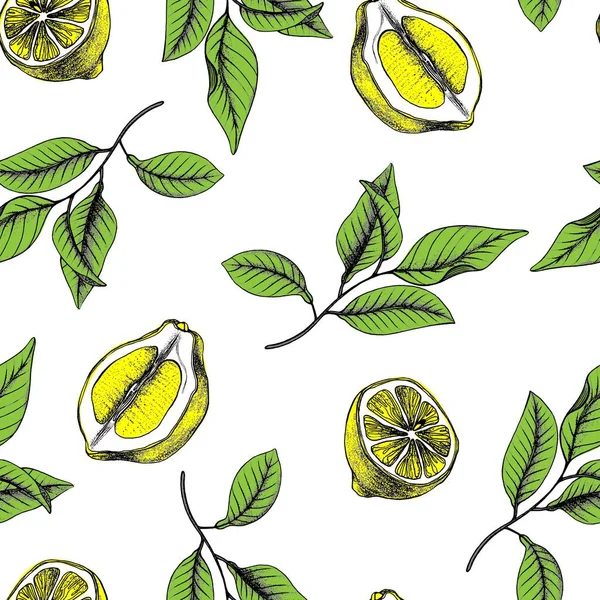 Limonlu botanik vektör kusursuz desen. Limon yeşili yapraklar. Limonata süsü..