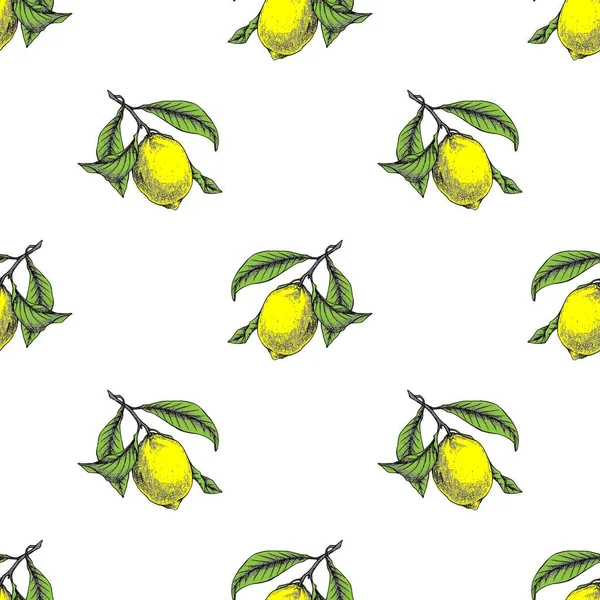 Limonlu botanik vektör kusursuz desen. Limonlar, limonlar tekrar ediyor. Limonata süsü..
