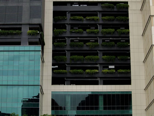 Selective Focus Tree Eco Friendly Building Vertical Garden Modern City — Stock Photo, Image