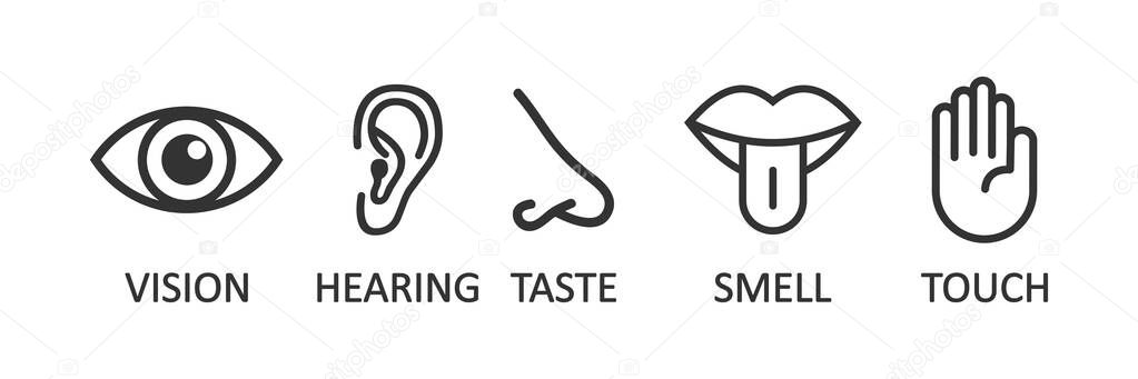 Human sense icons. Organs vision, hearing, taste, smell, touch illustration symbol. Sign people vector flat.