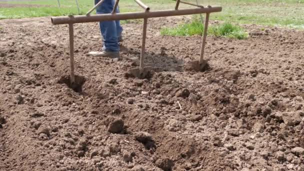 Lavoura Manual Preparação Solo Para Plantação — Vídeo de Stock