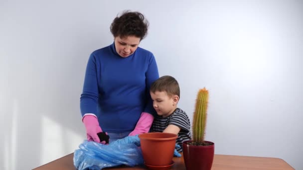 Mãe Filho Transplantam Cacto Uma Panela Pequena Para Uma Grande — Vídeo de Stock