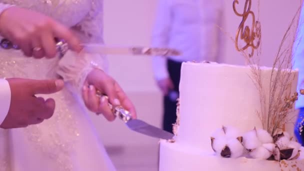 Menyasszony Vőlegény Felvágtak Egy Gyönyörű Esküvői Tortát Esküvő Alatt — Stock videók