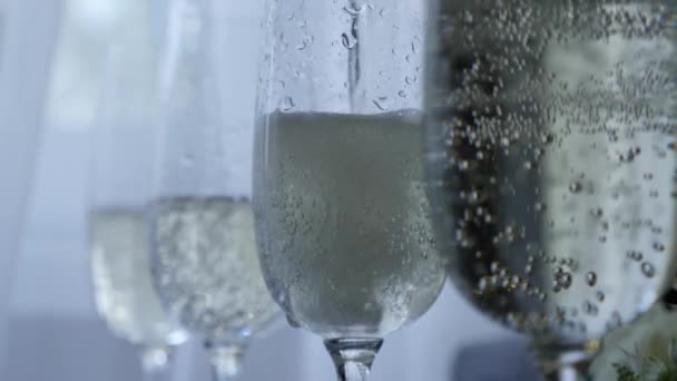 Pouring White Sparkling Champagne Glasses Shot Dark Key — Stok Video