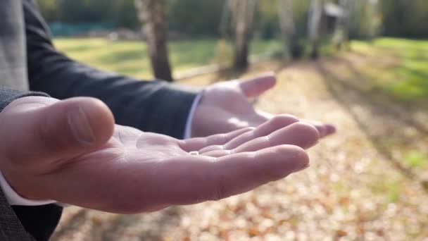 Nevěsta Setkání Ženichem Jemně Položí Své Ruce Jeho — Stock video