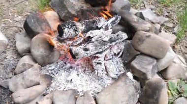 Open fire. Cooking meat on a picnic.