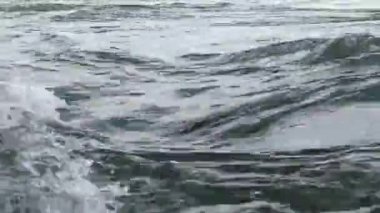 Hızlı akımla şeffaf ve temiz bir dağ nehri. Temiz içme suyu kaynağı.