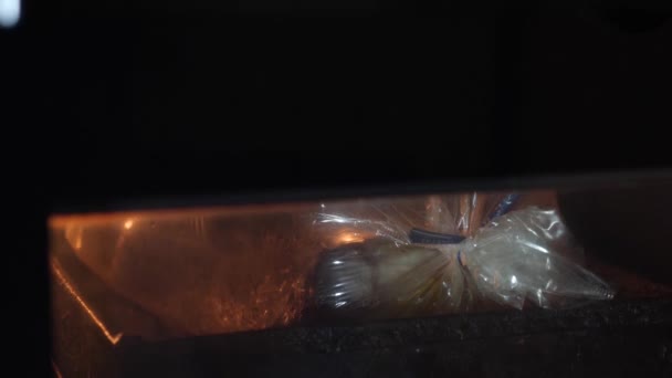 焼くためのスリーブにオーブンで魚を焼く 家での料理 — ストック動画