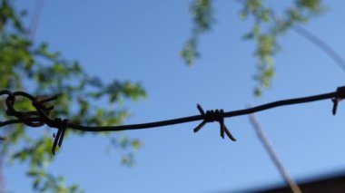 Barbed wire is stretched around the perimeter of the regime object. Prison, area concept.