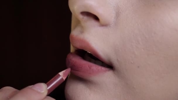 Beautiful Girl Doing Lip Makeup Home — Stock Video