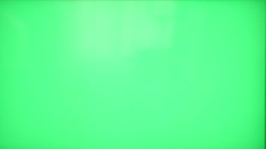 Handshake of male and female hands on a green background.