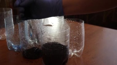 Evde tohum ekmek için plastiği yeniden kullan.