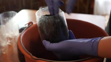 Reuse plastic for planting seeds at home.