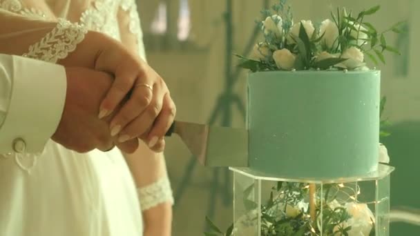 Bride Groom Cut Cake Wedding Celebration — стоковое видео