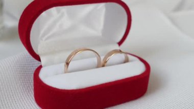 Wedding rings in a beautiful case. Wedding preparation concept.