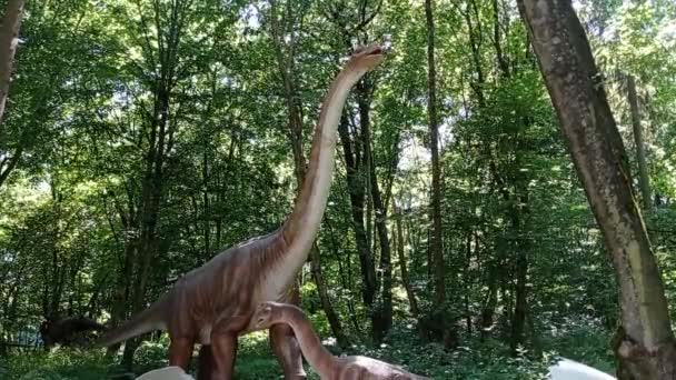 Два Динозаври Брахіозаври Великі Менші Лісі — стокове відео