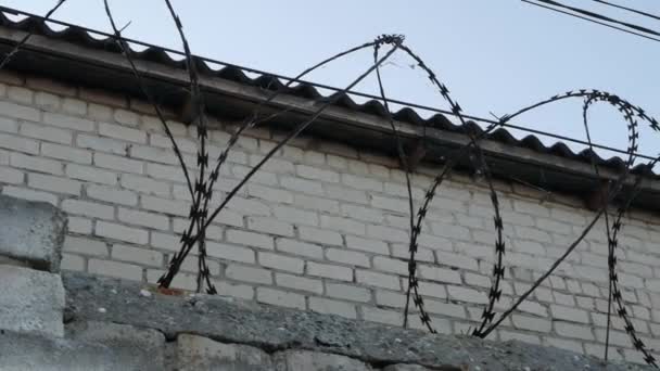 Barbed Wire Wall Regime Object Prison Arrangement Barriers Unauthorized Intrusion — Stockvideo