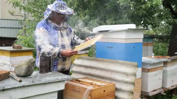 養蜂家は 晴れた夏の日に桃に取り組んで空の蜂のフレームを追加します — ストック動画