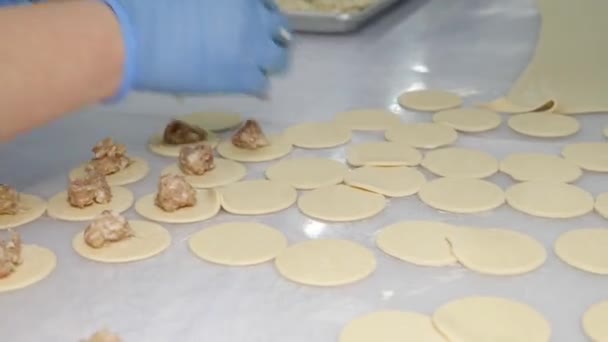 用肉做饺子 用切碎的肉填饱肚子 自制食品 — 图库视频影像