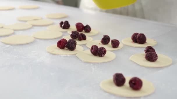 チェリーでスタッコ餃子を作る 台所でチームワーク 家庭料理 — ストック動画