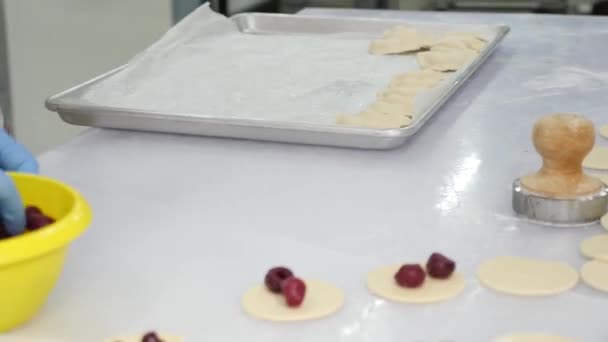 Making Stucco Dumplings Cherries Teamwork Kitchen Home Cuisine — ストック動画