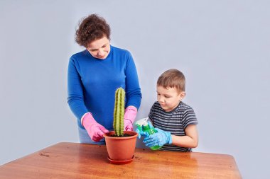 Anne ve oğlu kaktüsü küçük bir tencereden büyük bir tencereye naklediyorlar. Bitki nakli. Bitki bakımı. Kaktüslerle ilgilenmek.