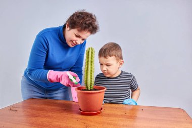 Anne ve oğlu kaktüsü küçük bir tencereden büyük bir tencereye naklediyorlar. Bitki nakli. Bitki bakımı. Kaktüslerle ilgilenmek.